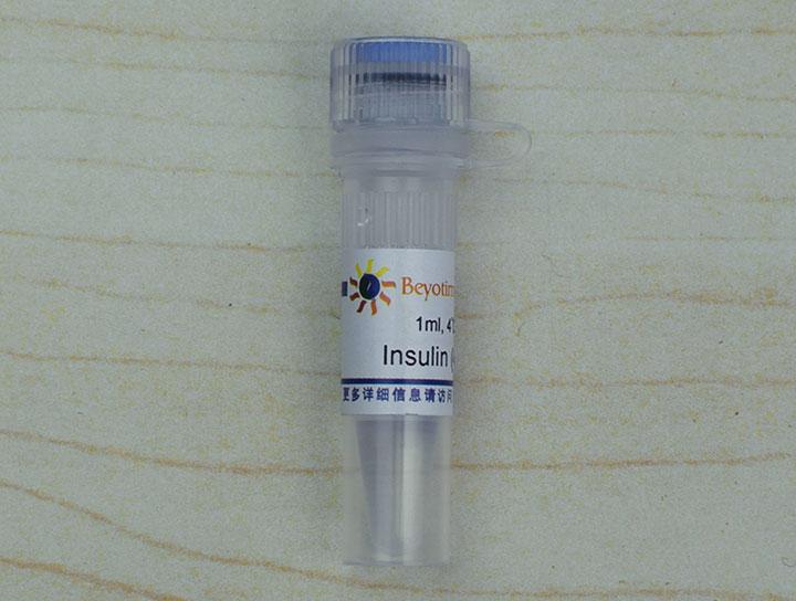 Insulin